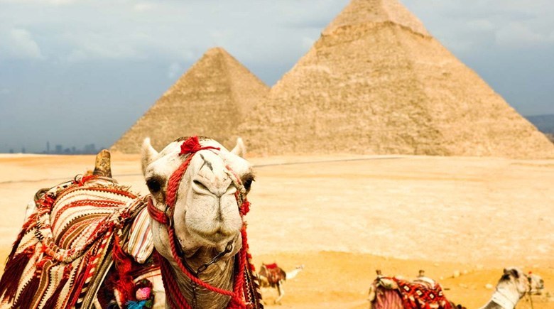 Отели в Египте
