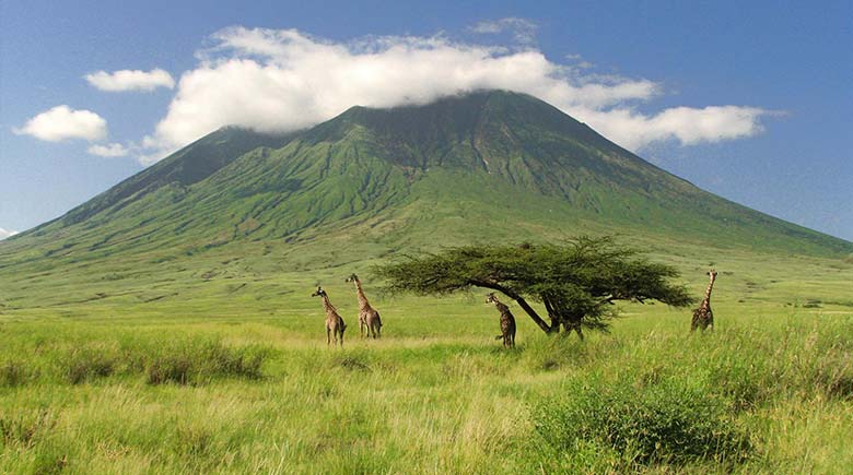 Туры в Килиманджаро