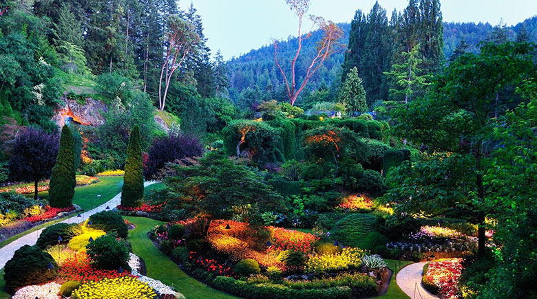 Батумский ботанический сад