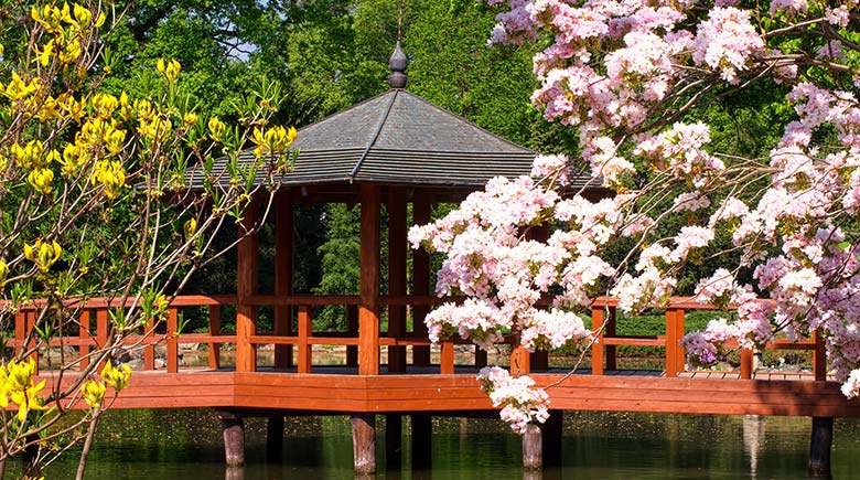 Японский сад во Вроцлаве