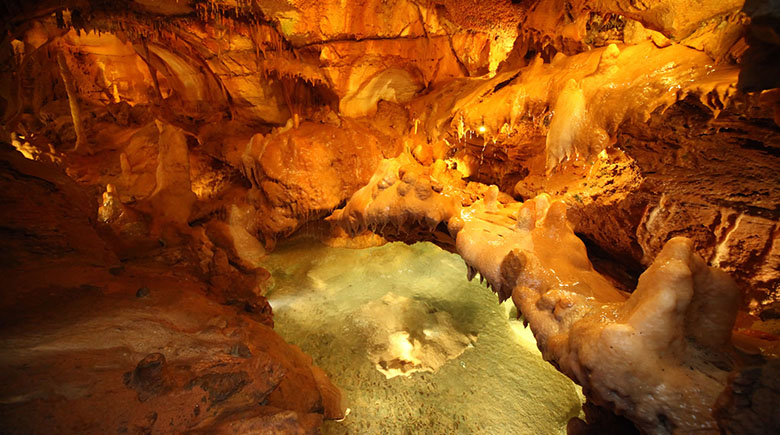 Пещера Монет
